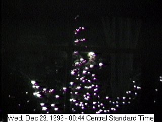 Christmas Lights
