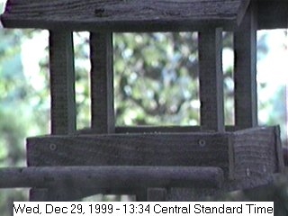 The Bird Gazebo