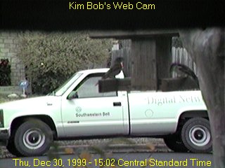 Birds going Digital?
