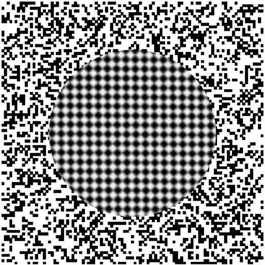 Optical and 3D Illusions